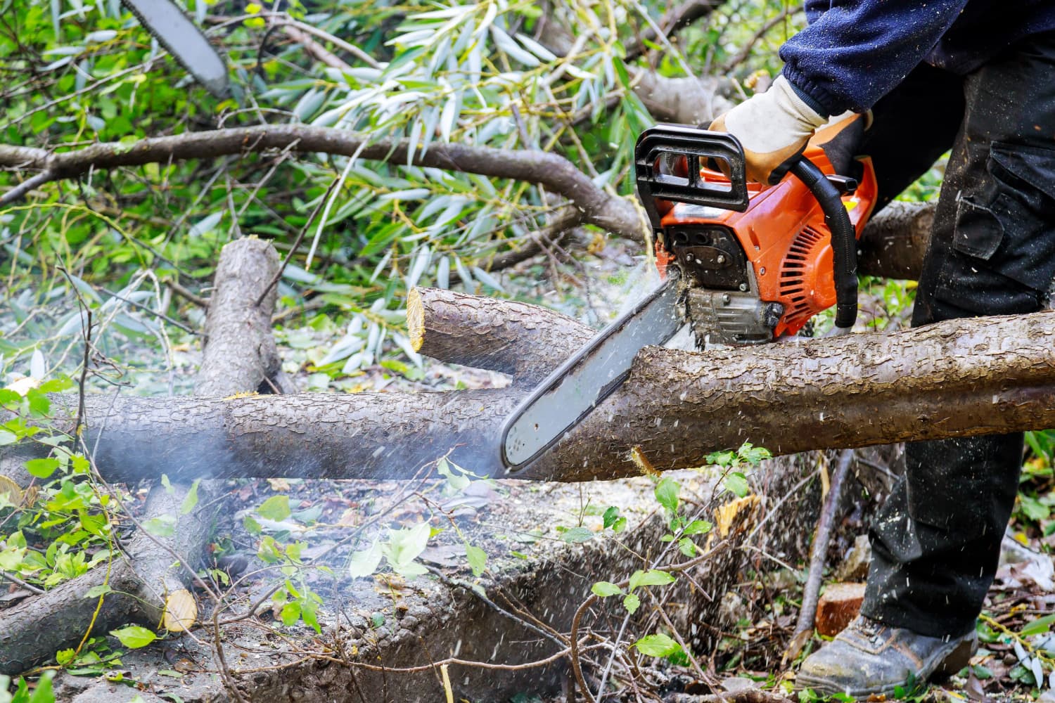 Tree Removal Kingston: Professional Services for a Safer, Greener Community