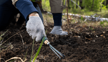 Experts for Tree Mulching