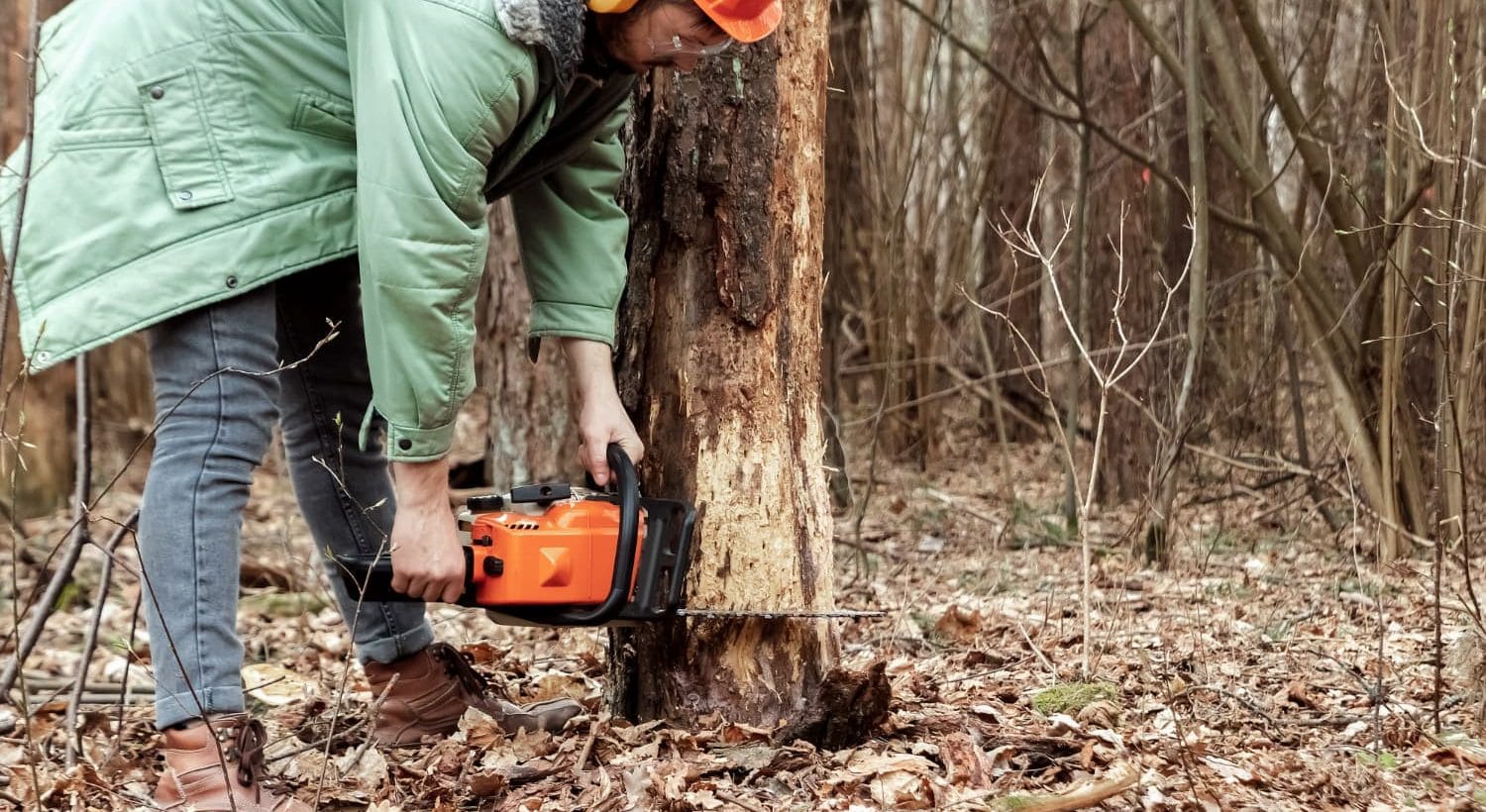 Tree Removal Clarinda: Your Guide to Safe and Efficient Tree Removal Services