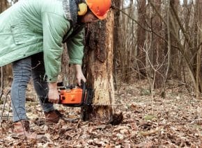 Tree Removal Clarinda: Your Guide to Safe and Efficient Tree Removal Services