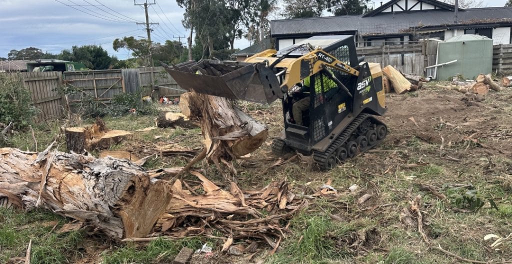 tree removal clarinda