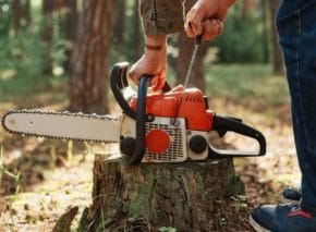 Melbourne stump grinding services