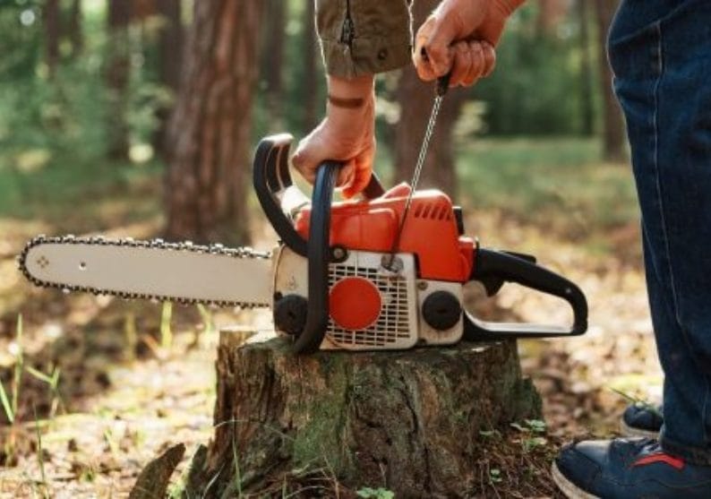 Melbourne stump grinding services