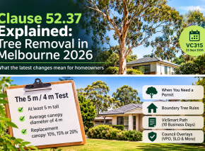 tree lopping Melbourne