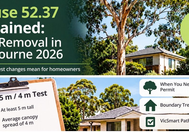 tree removal melbourne
